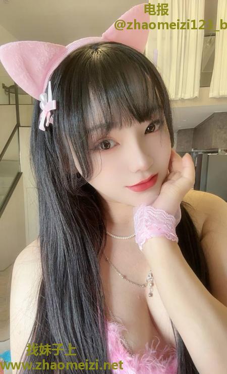 普陀小野猫