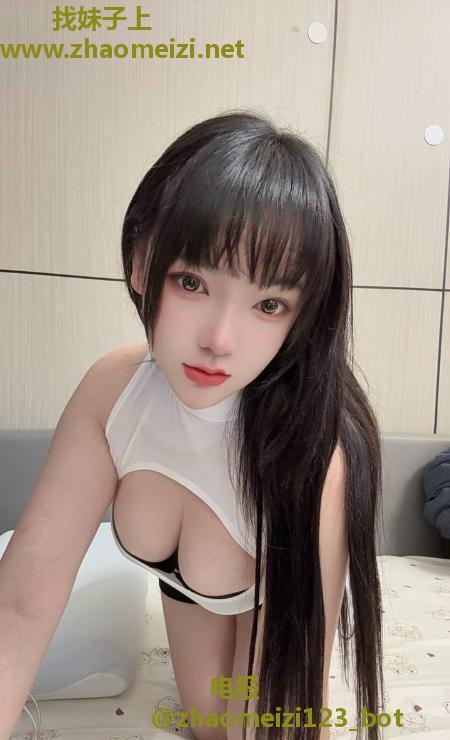 普陀小野猫
