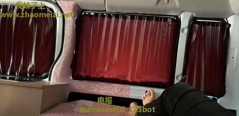 车震小龙女