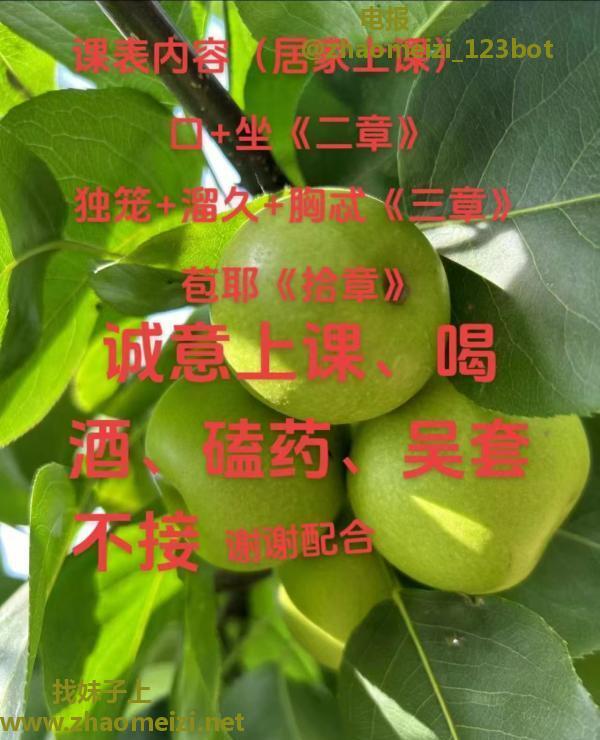 新吴少妇小晓