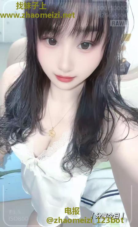 长春小笨鸡