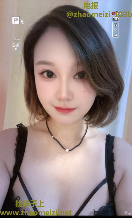 汉阳小野猫服务系