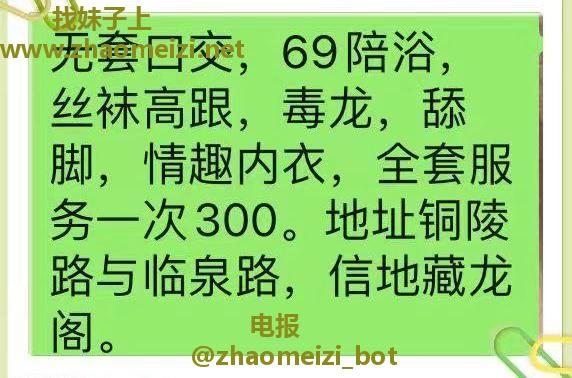 信地熟女菲姐