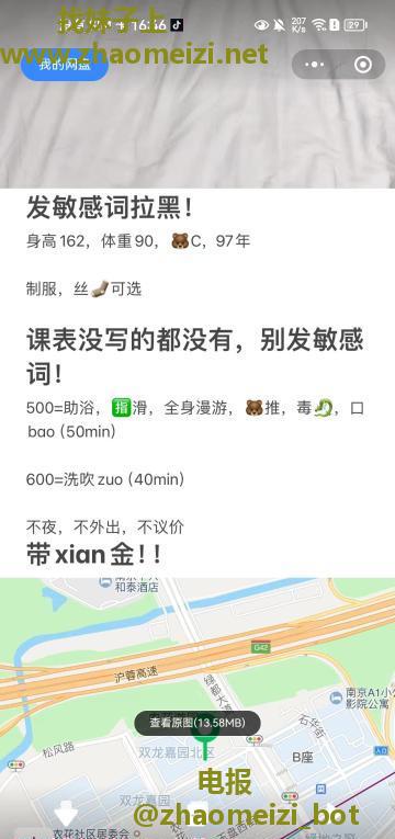 南京南站小香菜中项