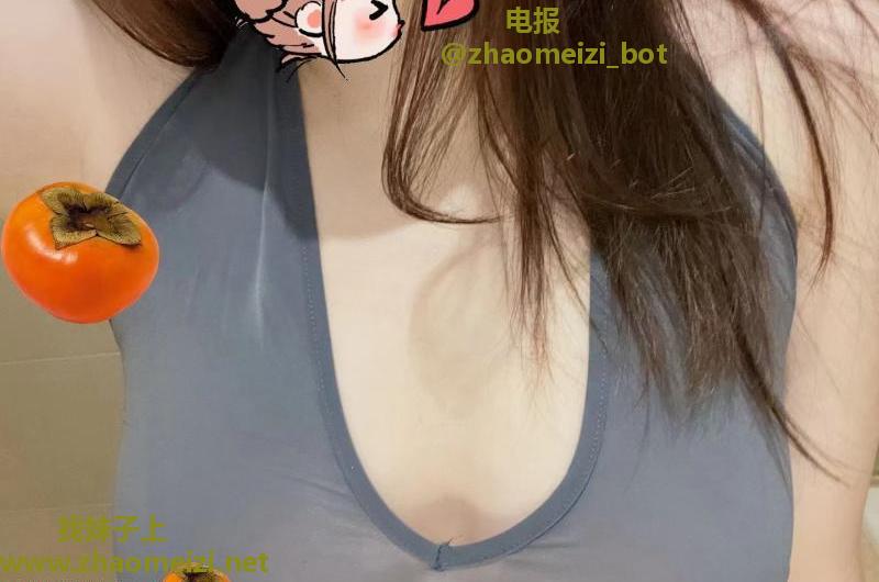 园区小狐狸