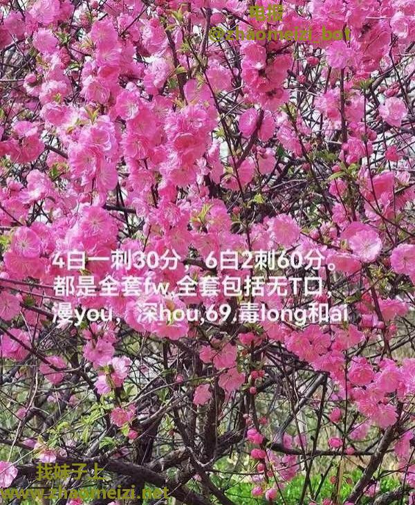 河北奶茶
